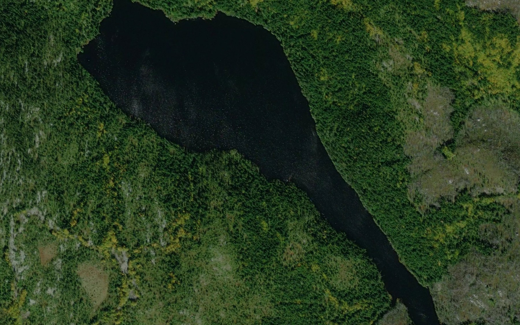 Satellite map of the Lac de l'Arbuste