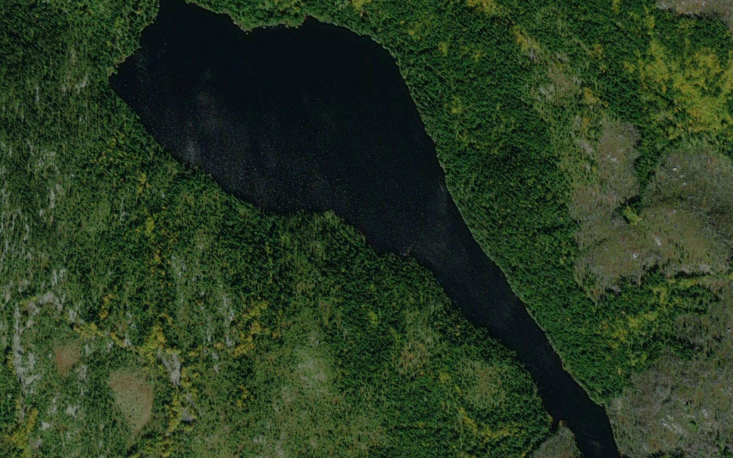 Lac de l'Arbuste
