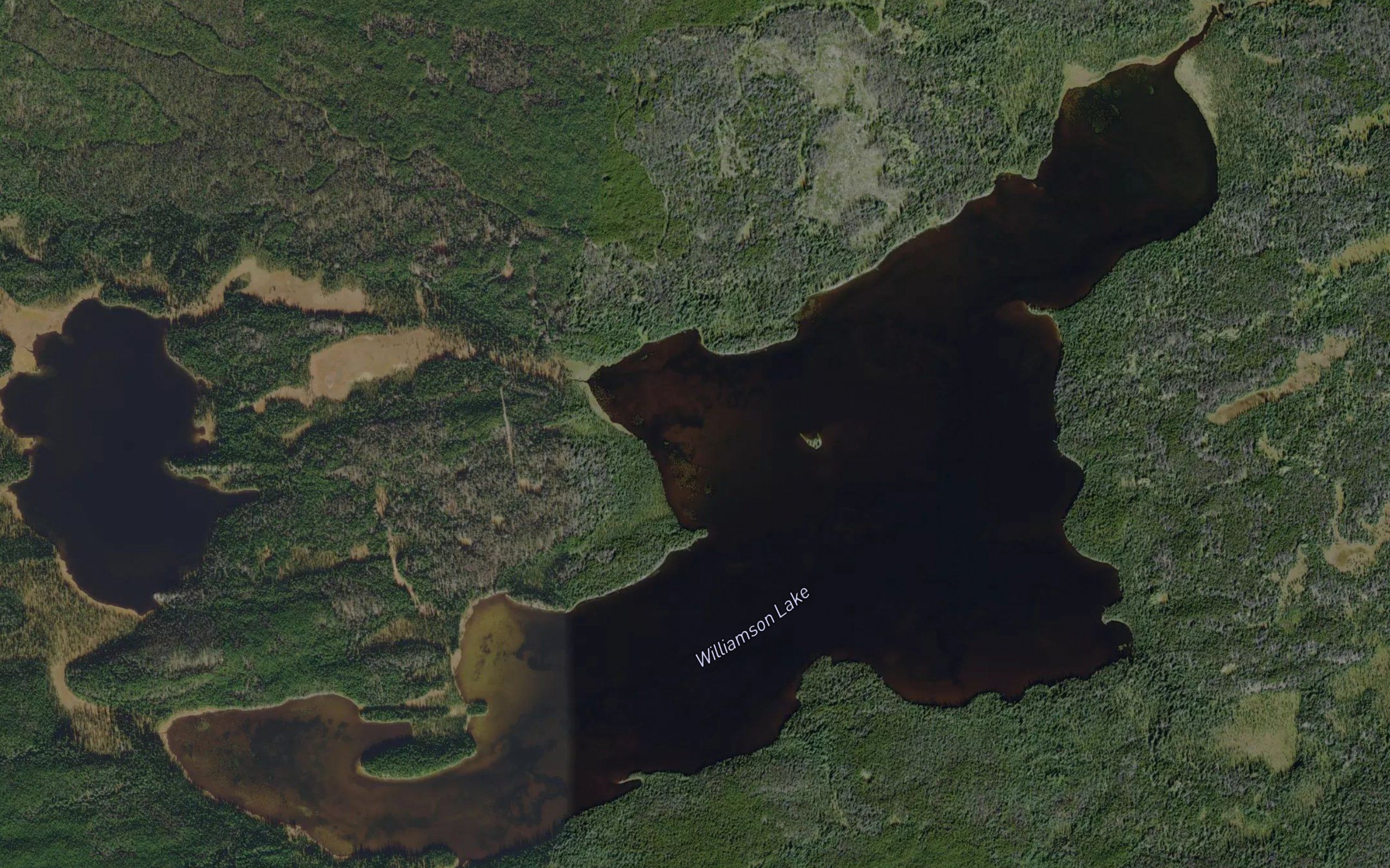 Williamson Lake