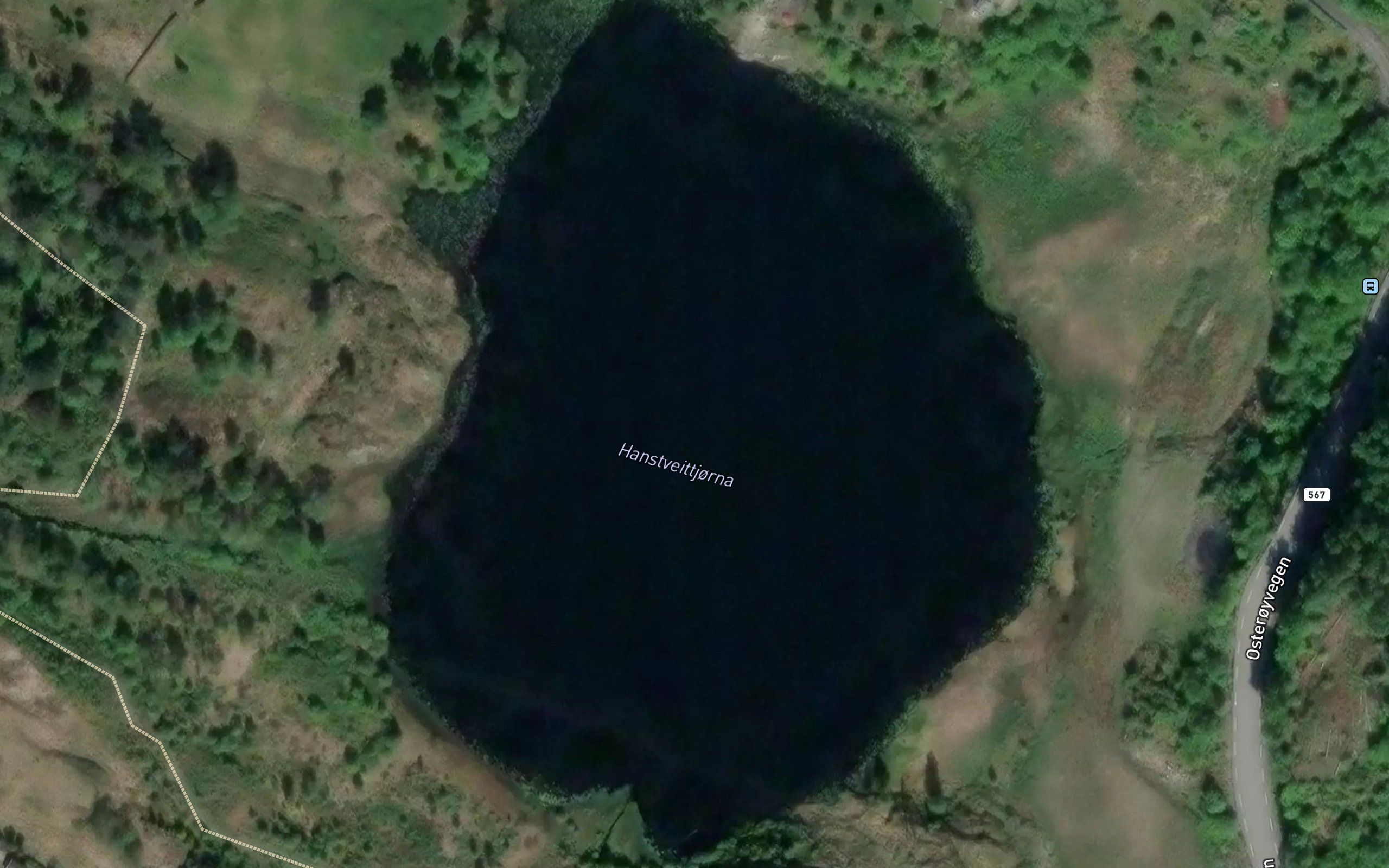 Hanstveittjorna