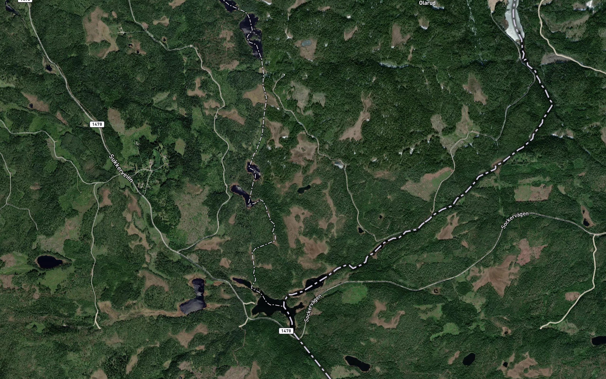 Kutjern