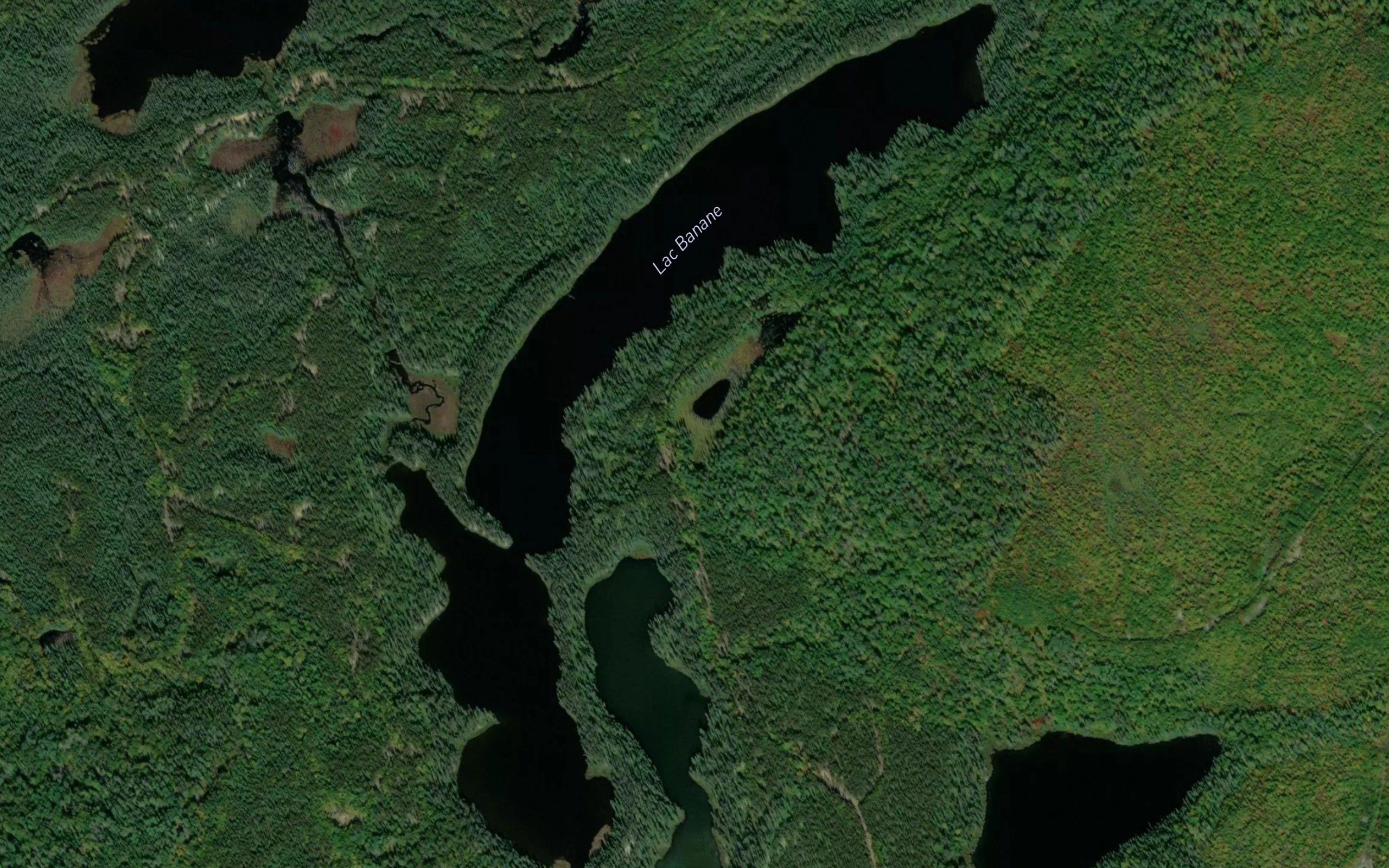 Lac Banane