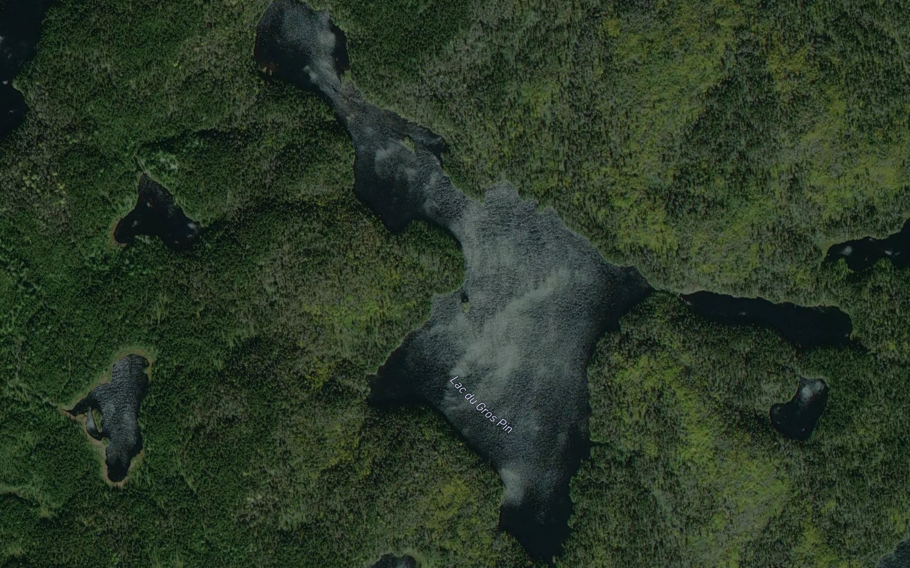 Satellite map of the Lac du Gros Pin