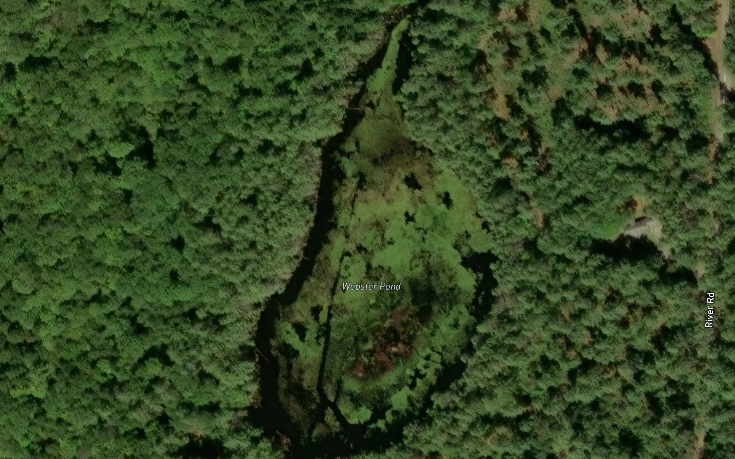 Webster Pond