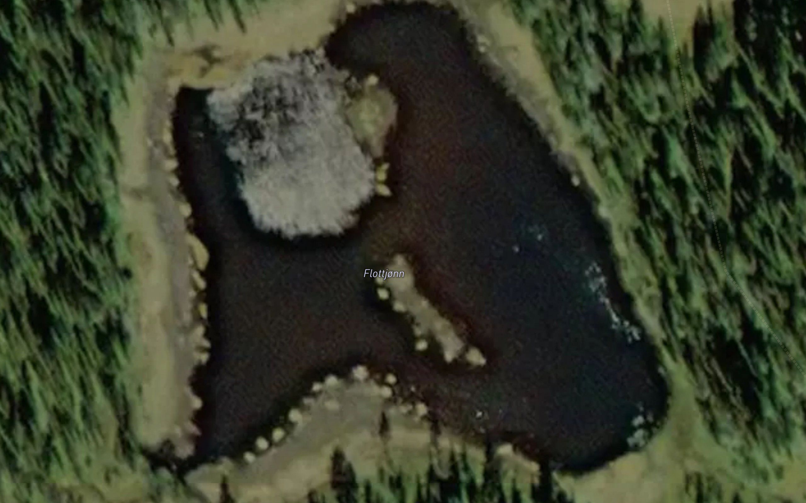 Flottjonn