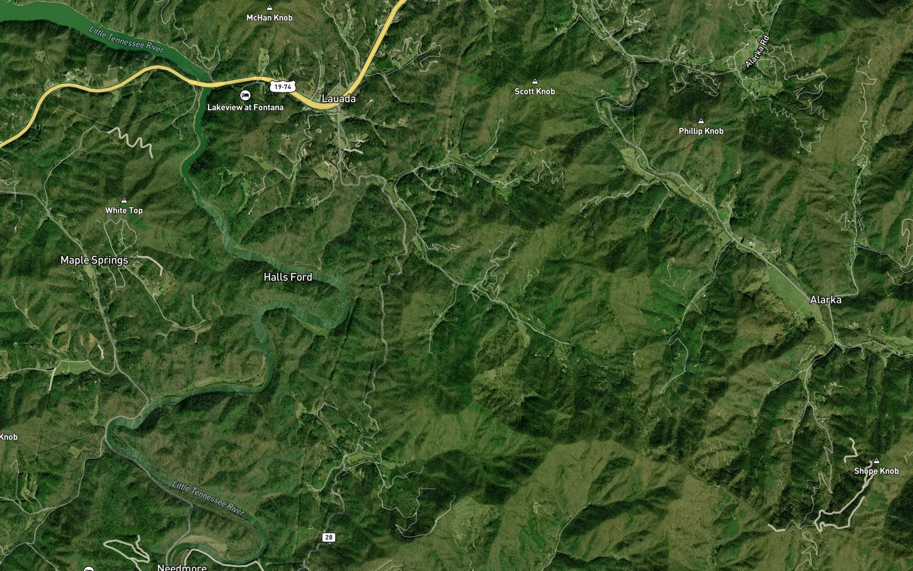 Satellite map of the Thomason Branch