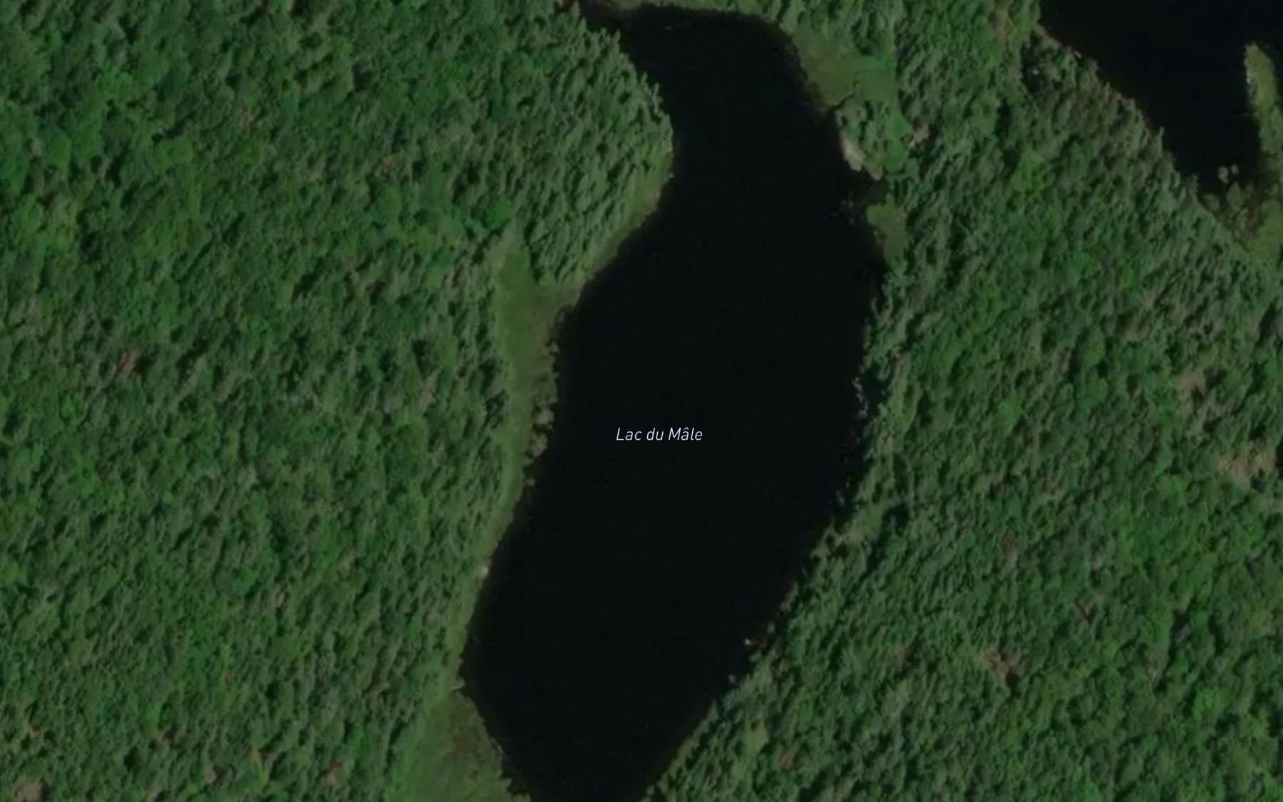 Satellite map of the Lac du Male