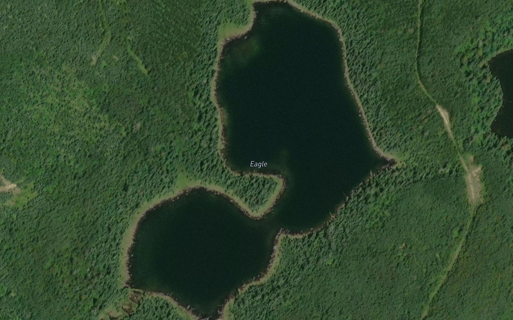 Satellite map of the Eagle Lake