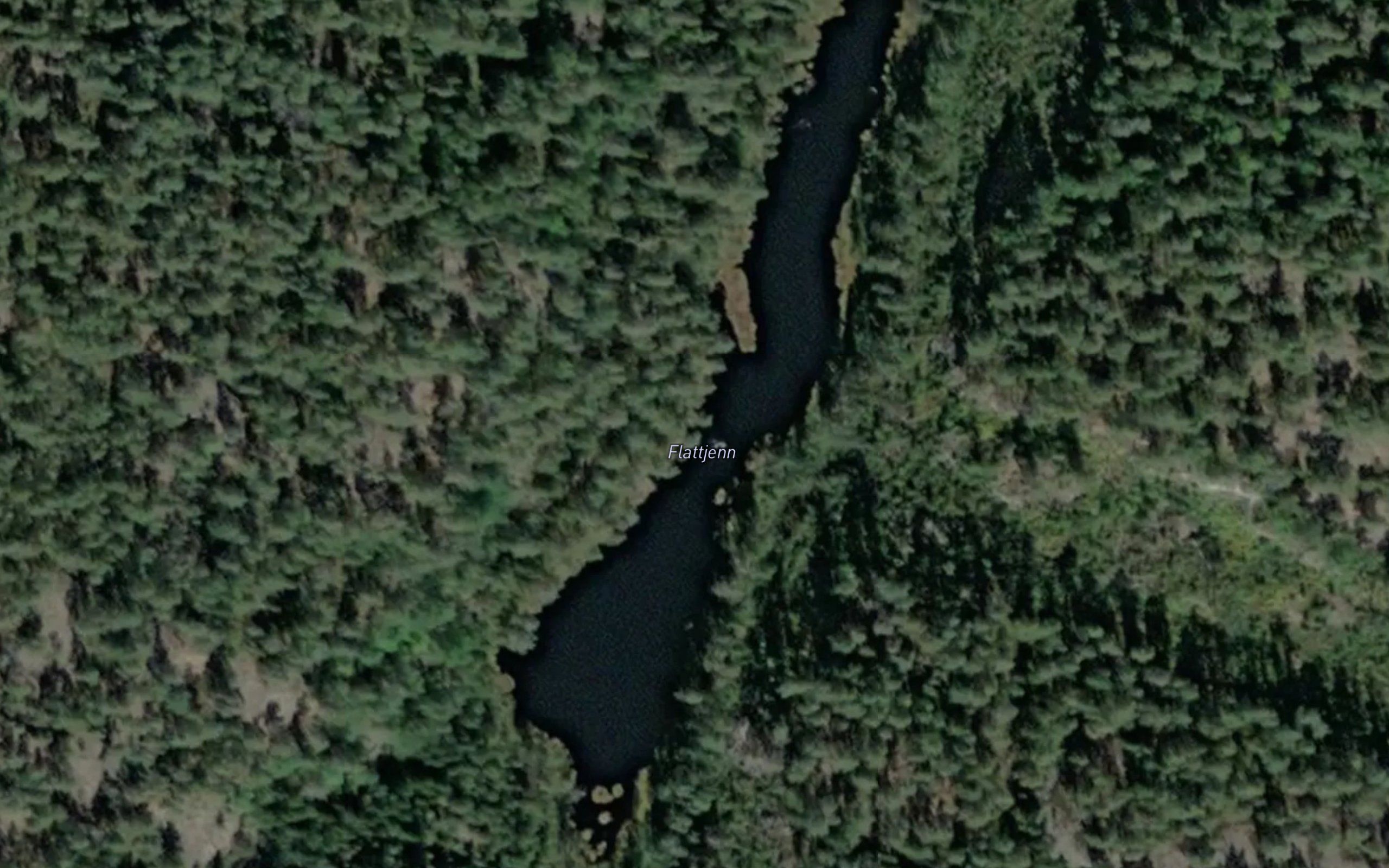 Flattjern
