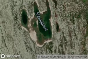 Steintjorna