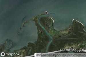 Far Mouth