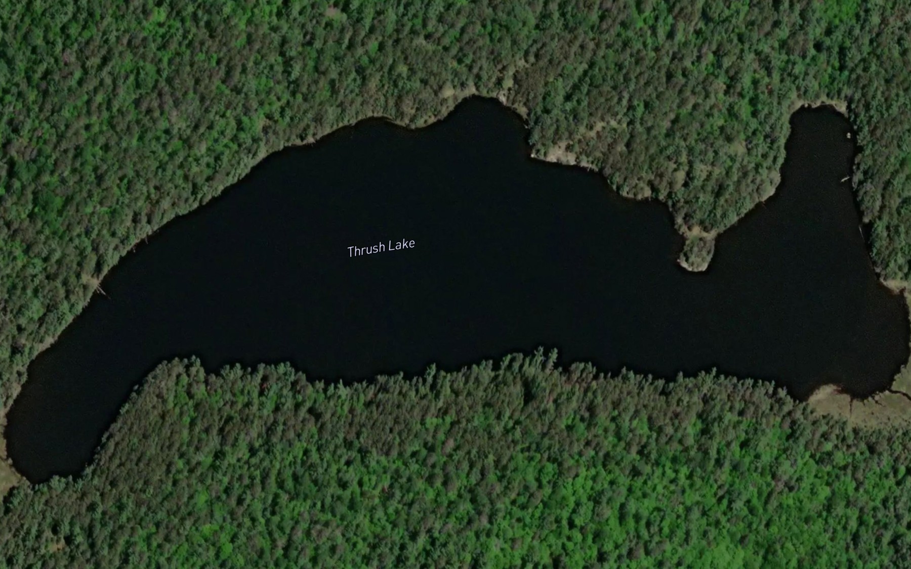 Satellite map of the Thrush Lake