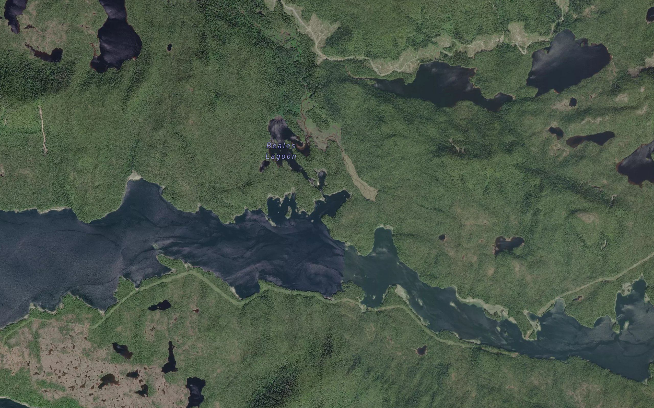 Beales Bay