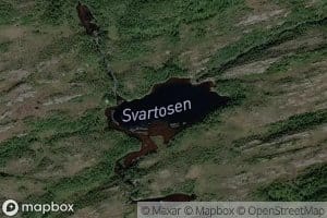 Svartosen