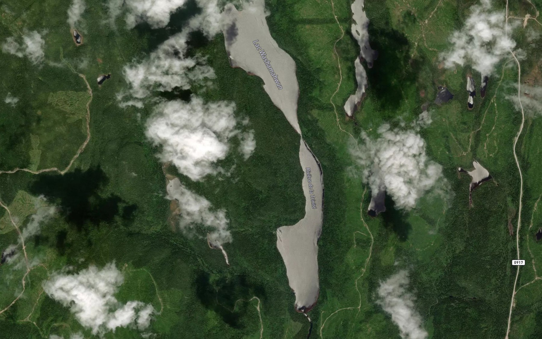 Satellite map of the Lac Washamahwun