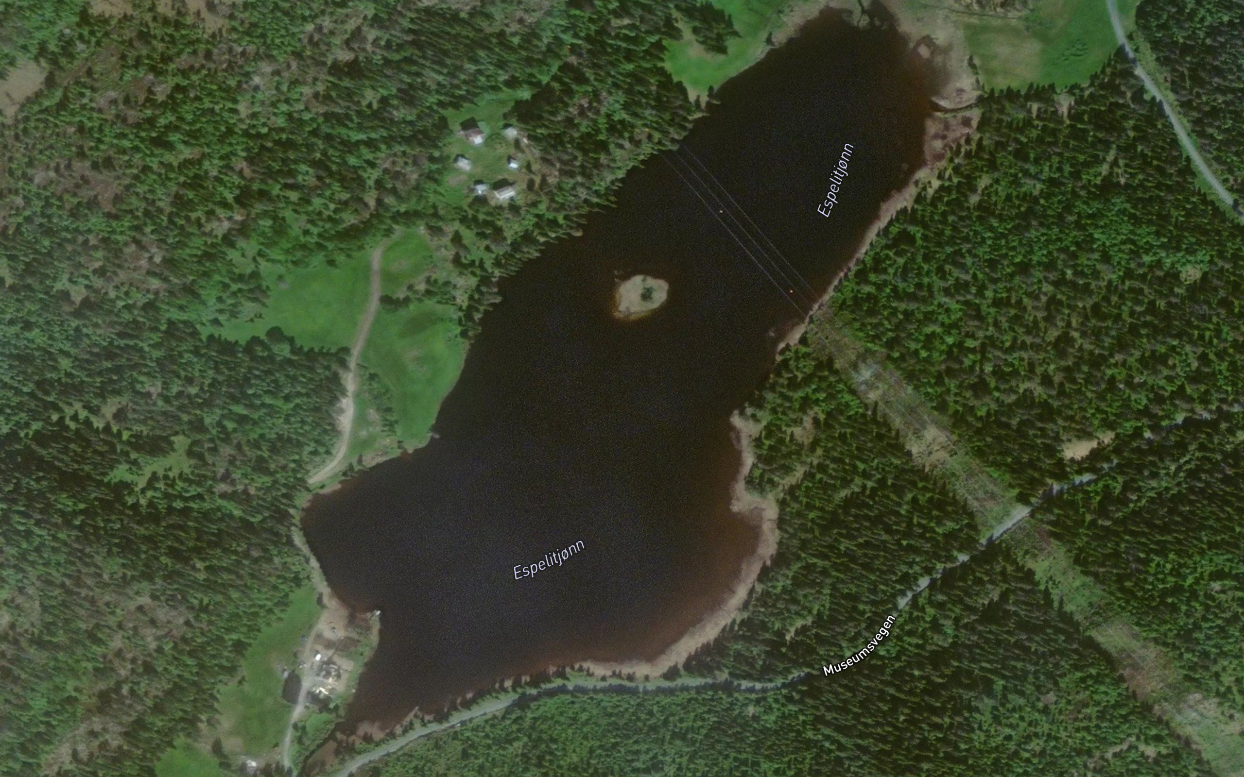 Espelitjonn