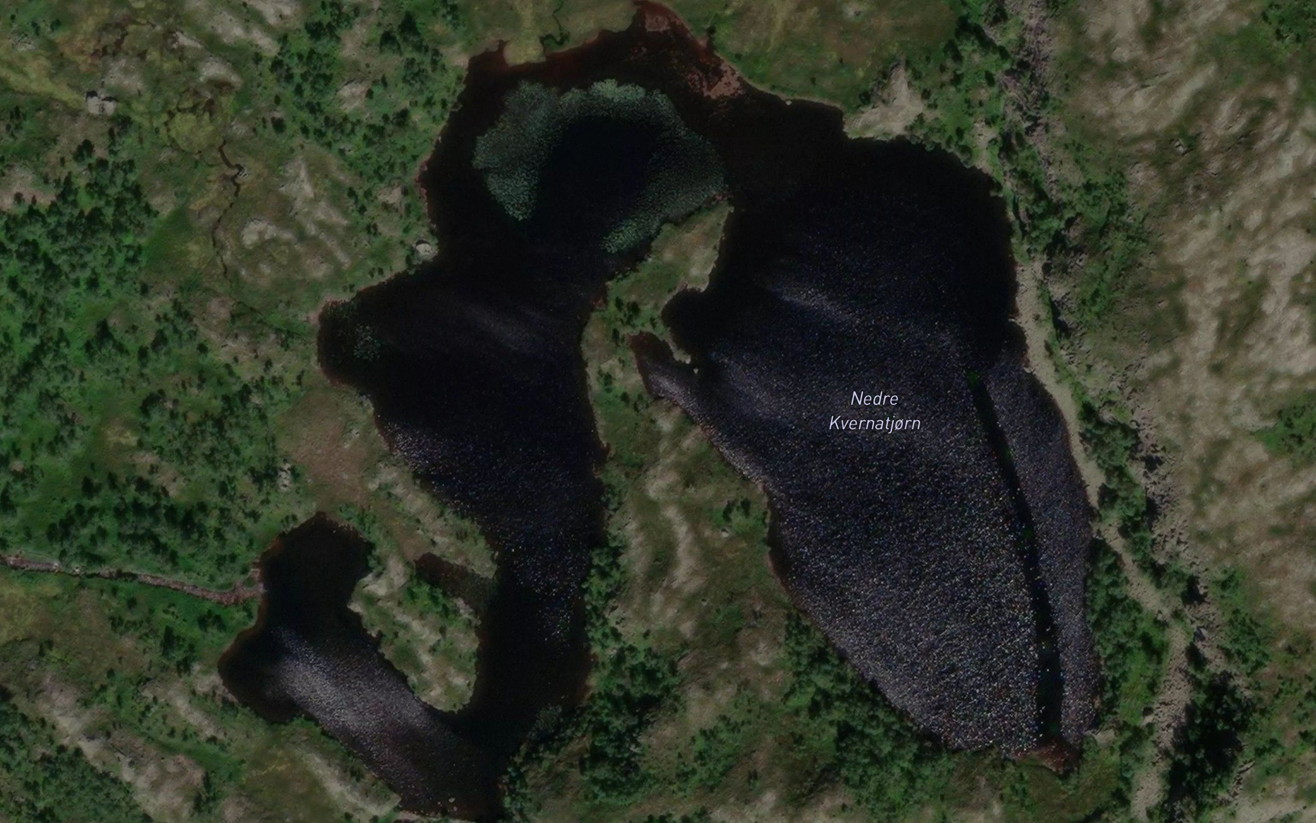 Kvernatjorn,nedre
