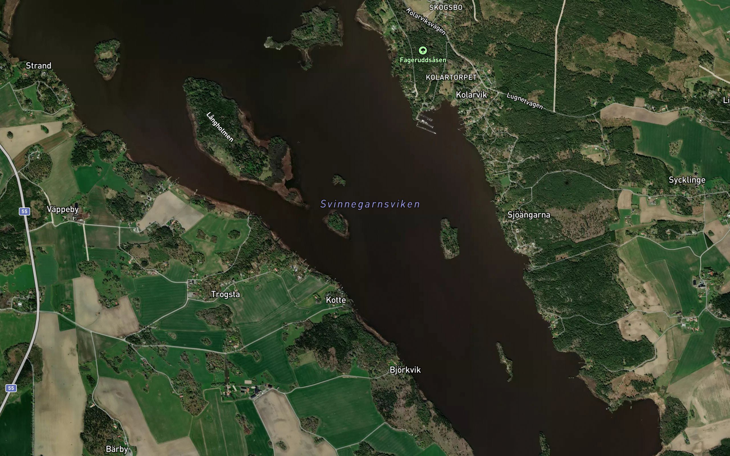 Svinnegarnsviken