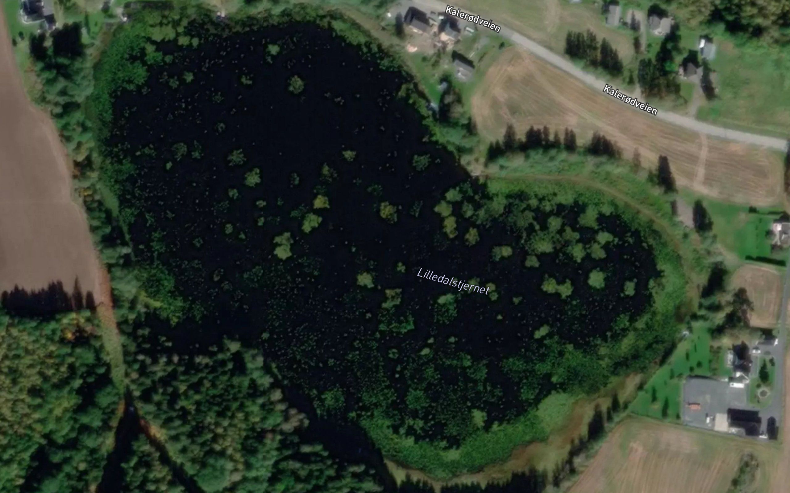 Lilledalstjernet