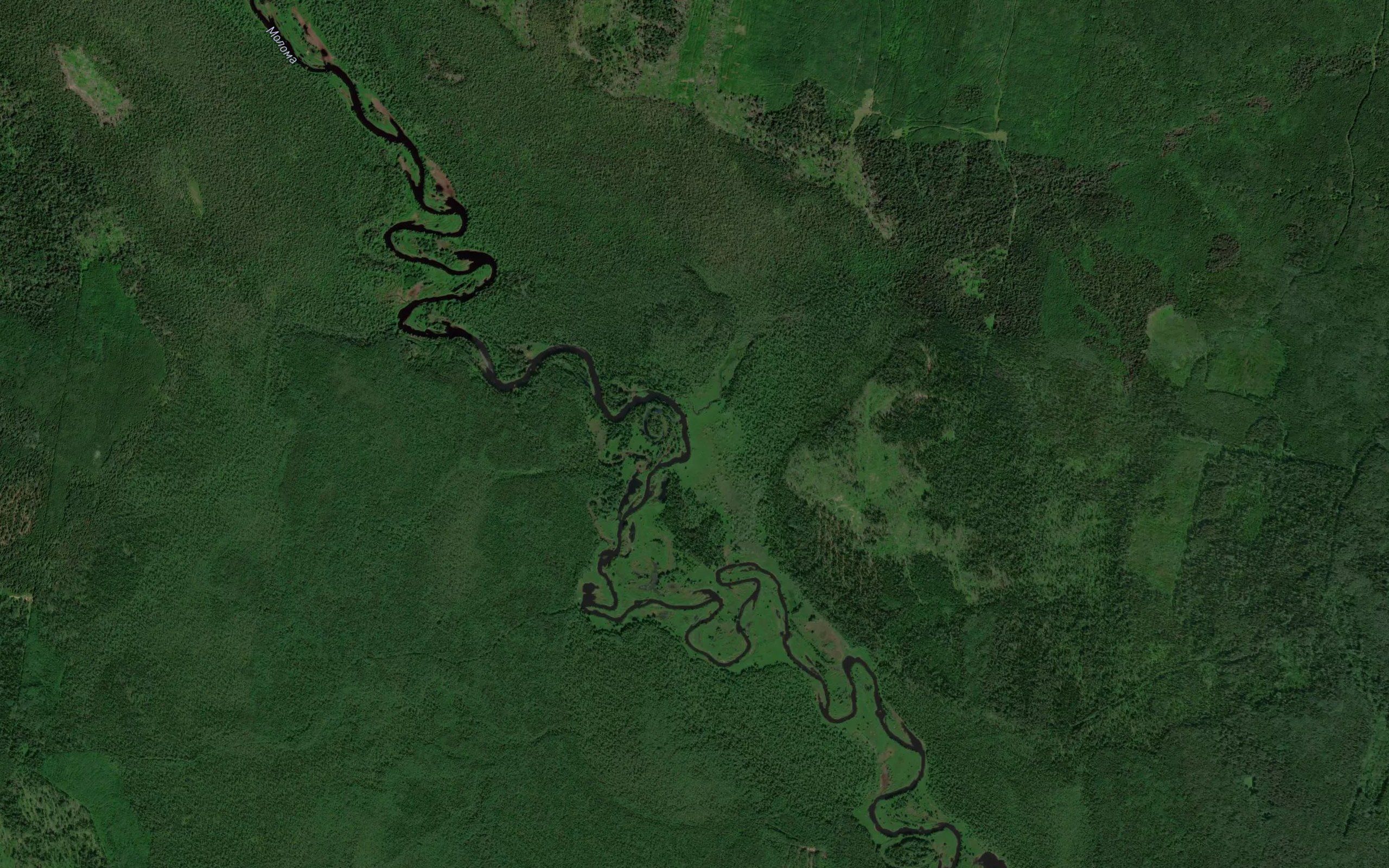 Sakernik