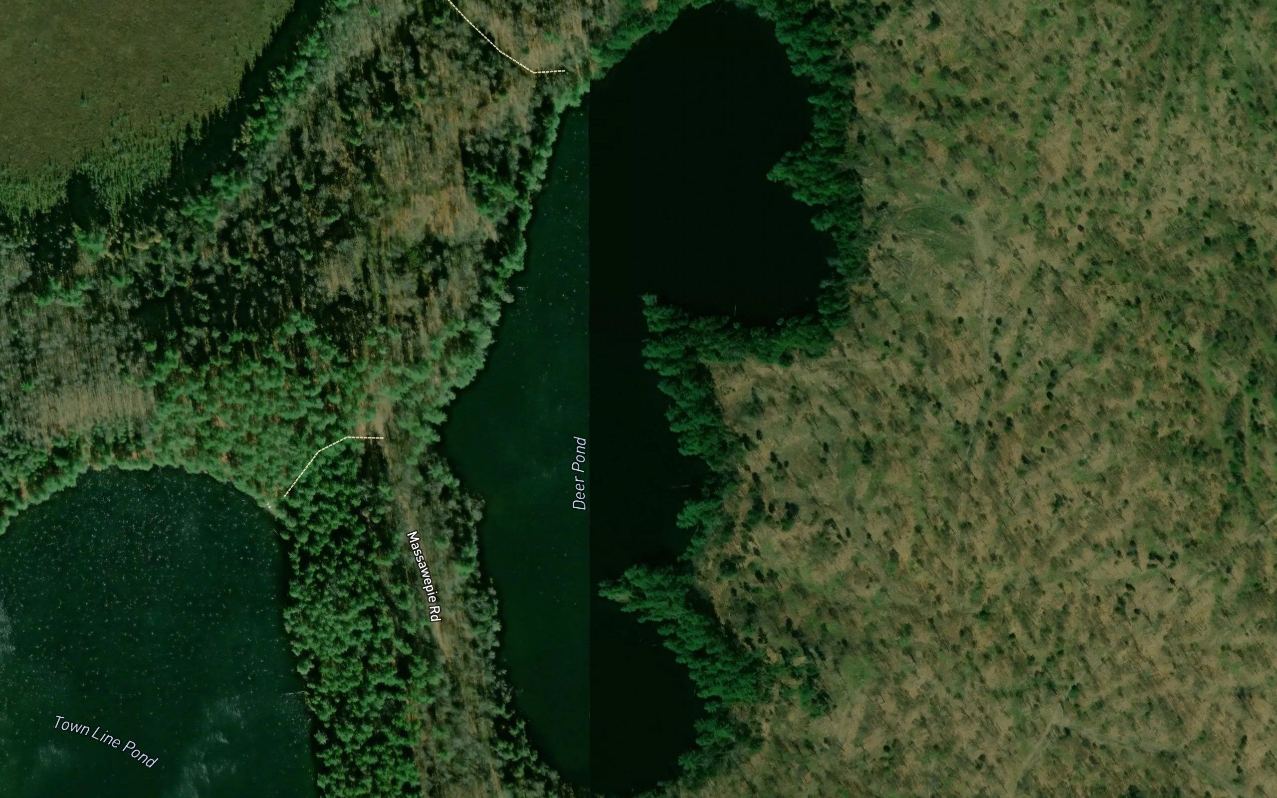Deer Pond