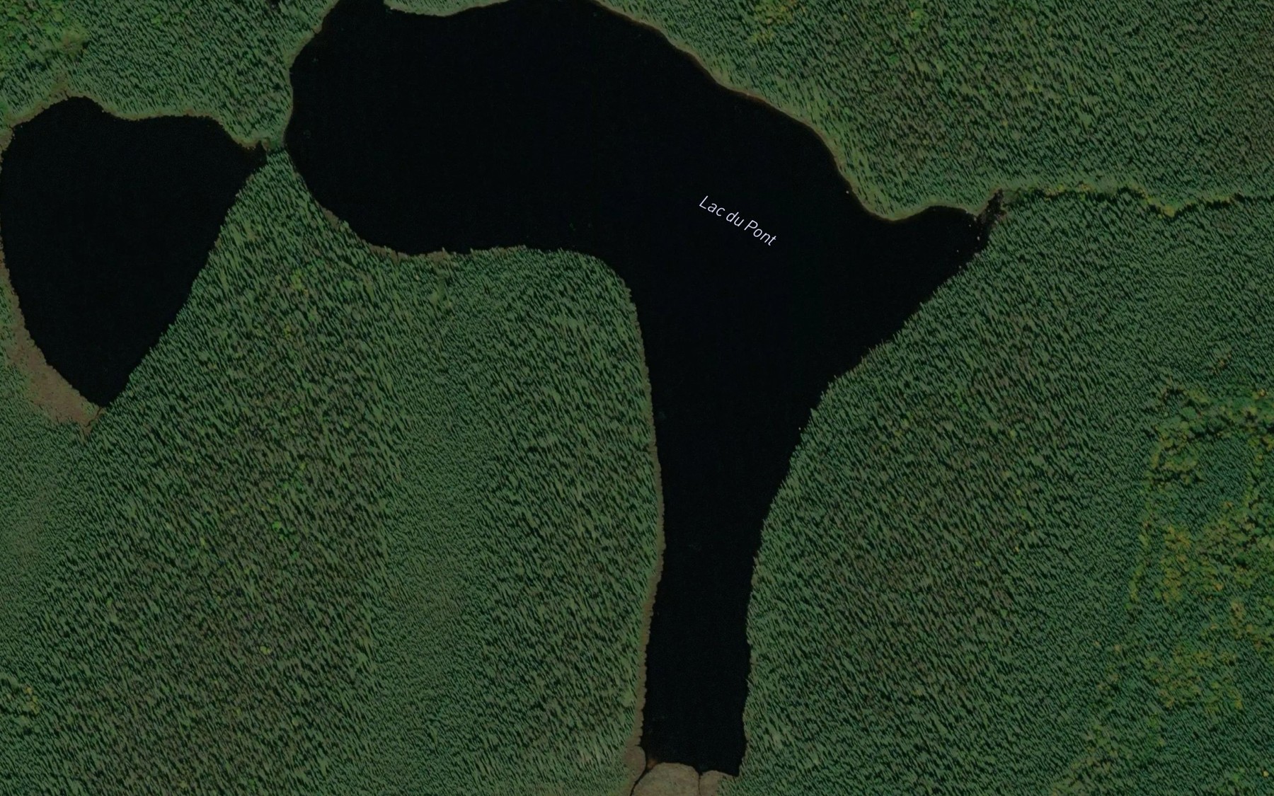 Satellite map of the Lac du Pont