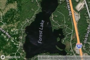 Forest Lake