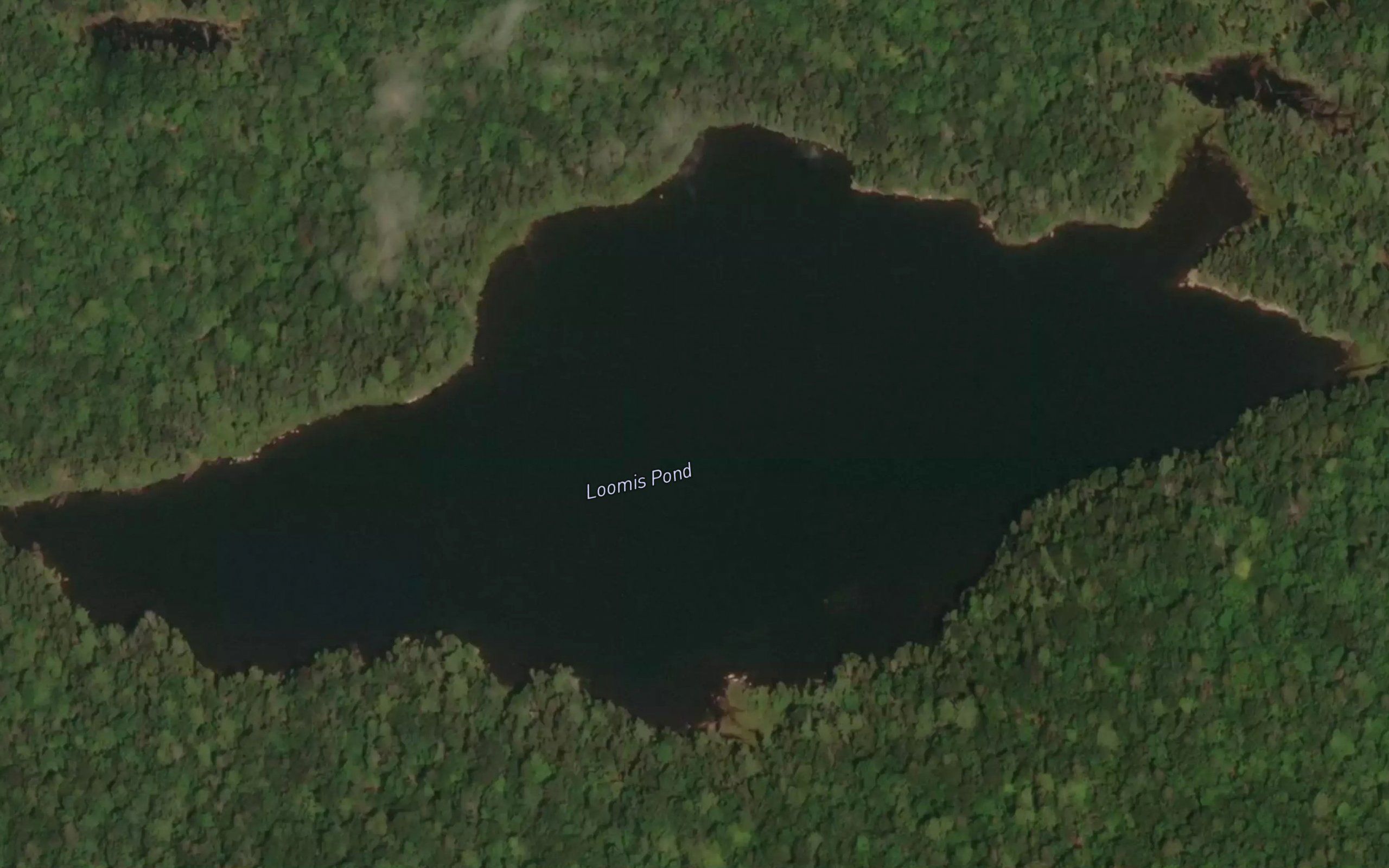 Loomis Pond