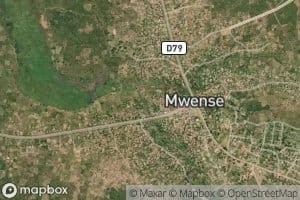 Mwense