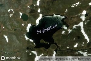 Seljevatn