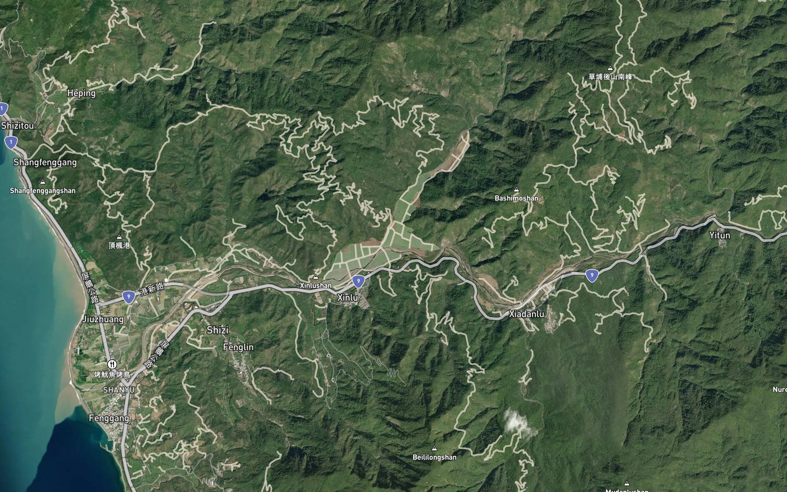 Xinlu Xi