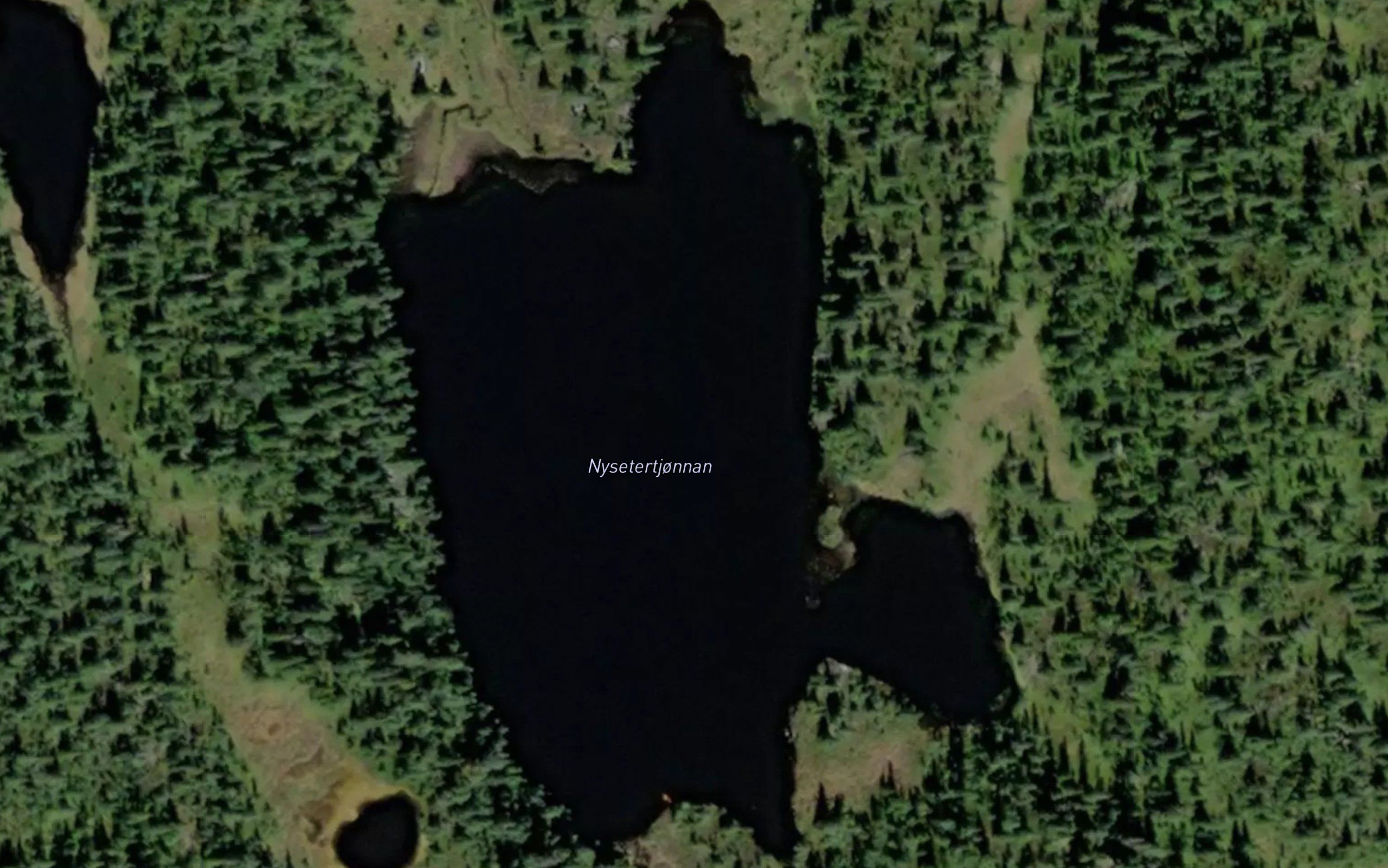 Nysaetertjornan