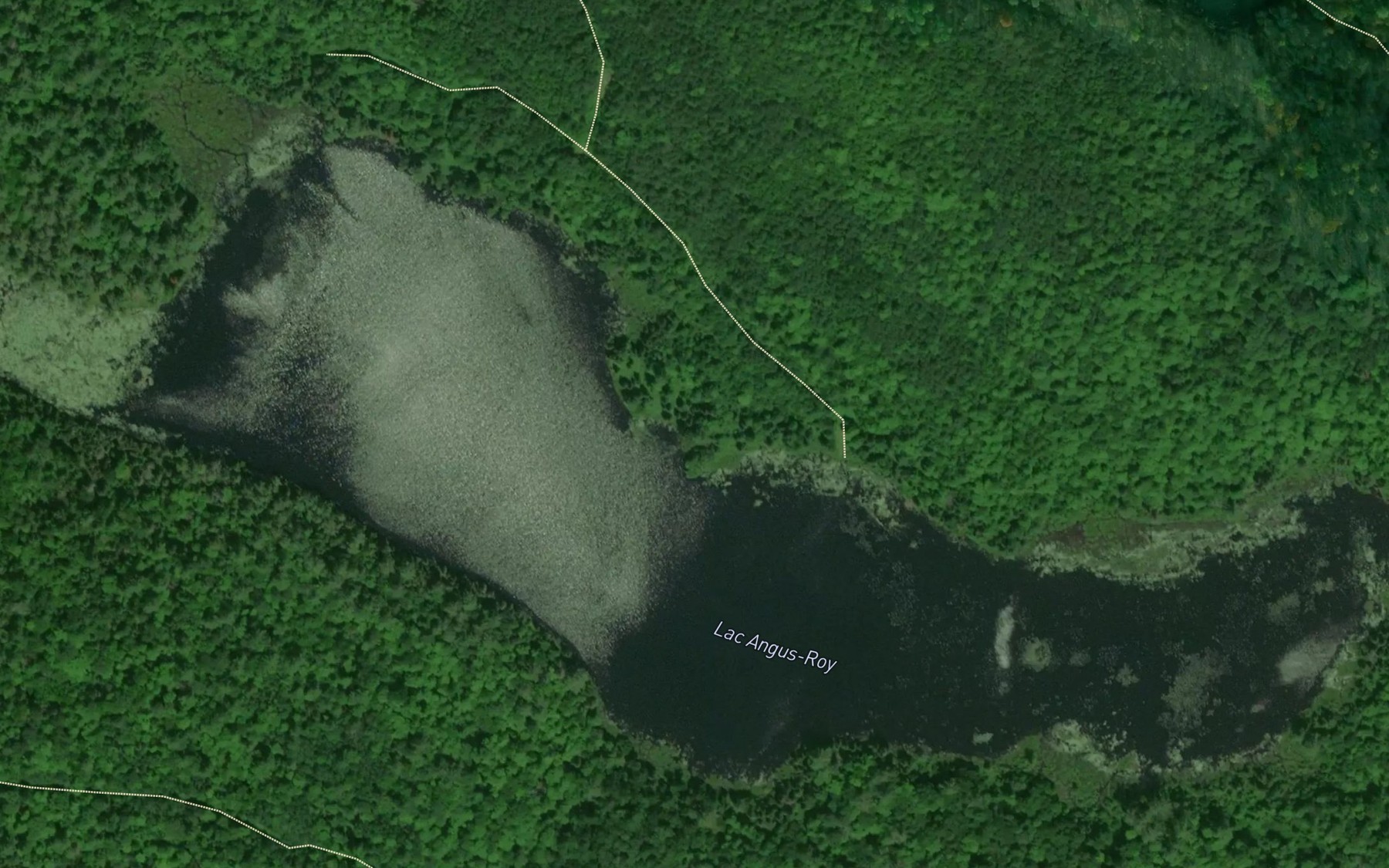 Satellite map of the Lac Angus-Roy