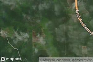 Sungai Landasan Batang