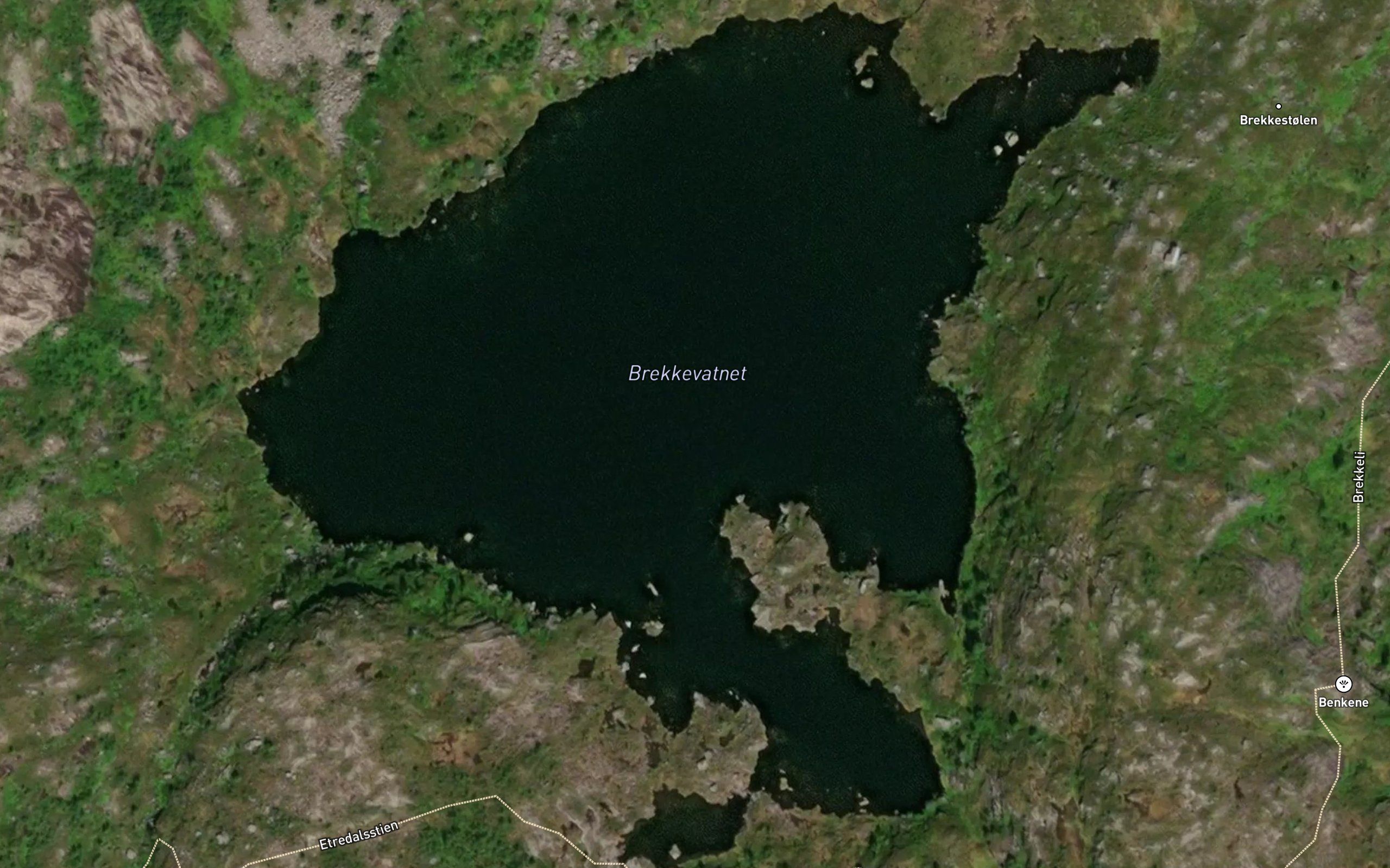 Brekkevatnet