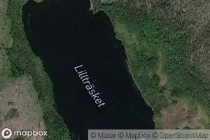 Lilltrasket
