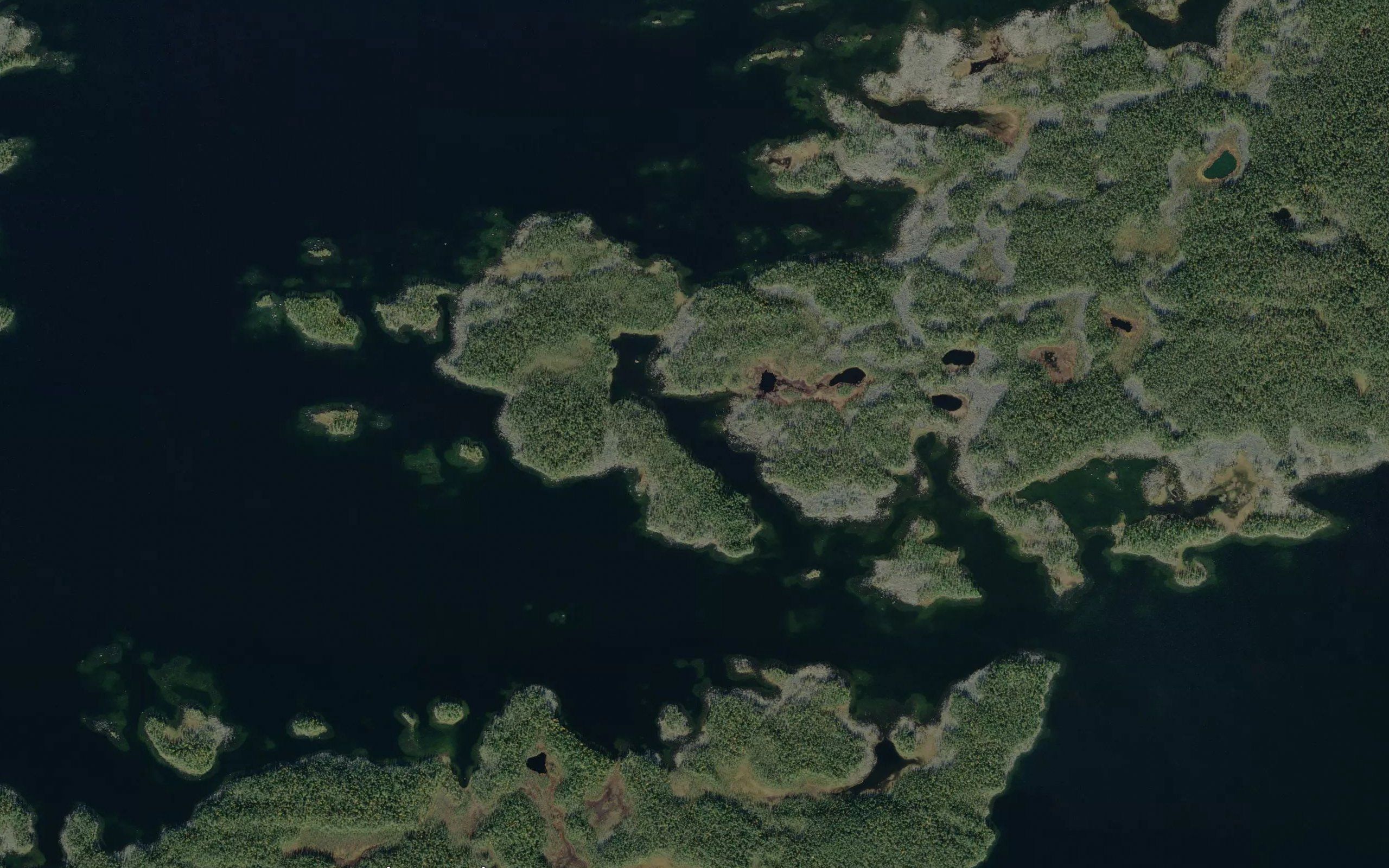 Tiaisvuopaja