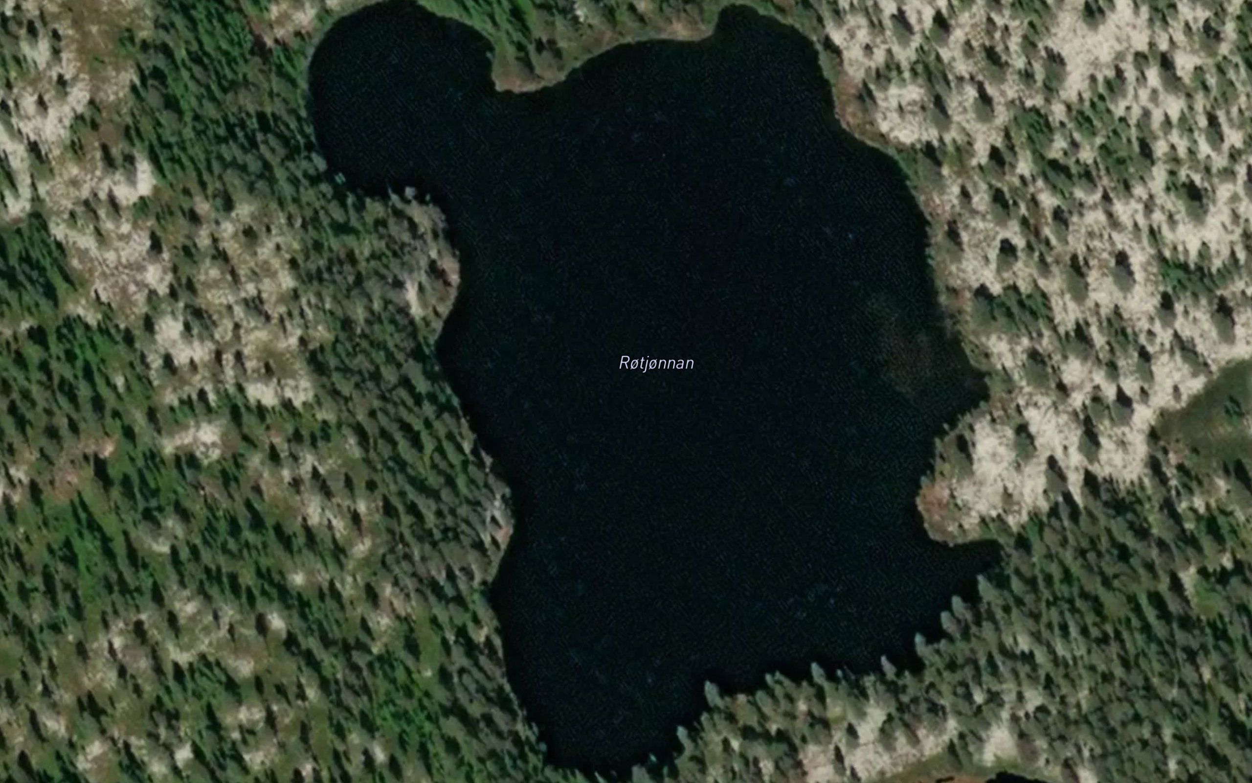 Rotjonna