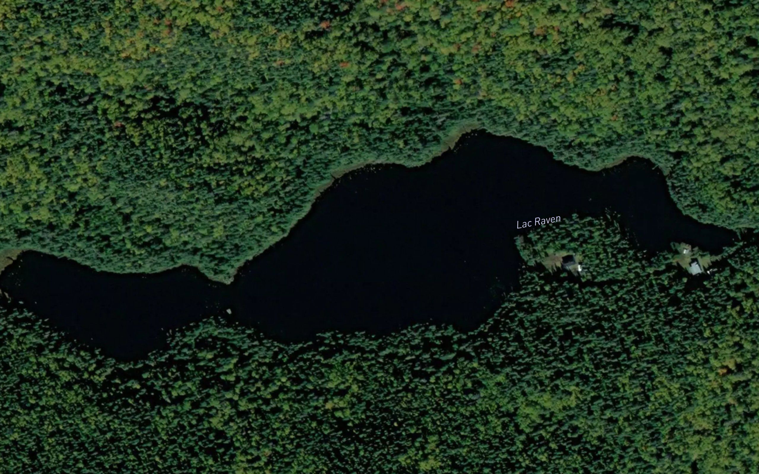 Lac Raven