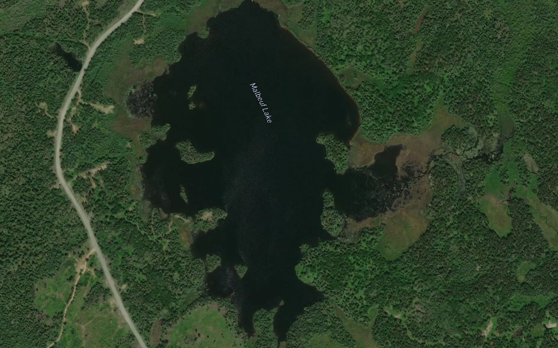 Satellite map of the Malbeuf Lake