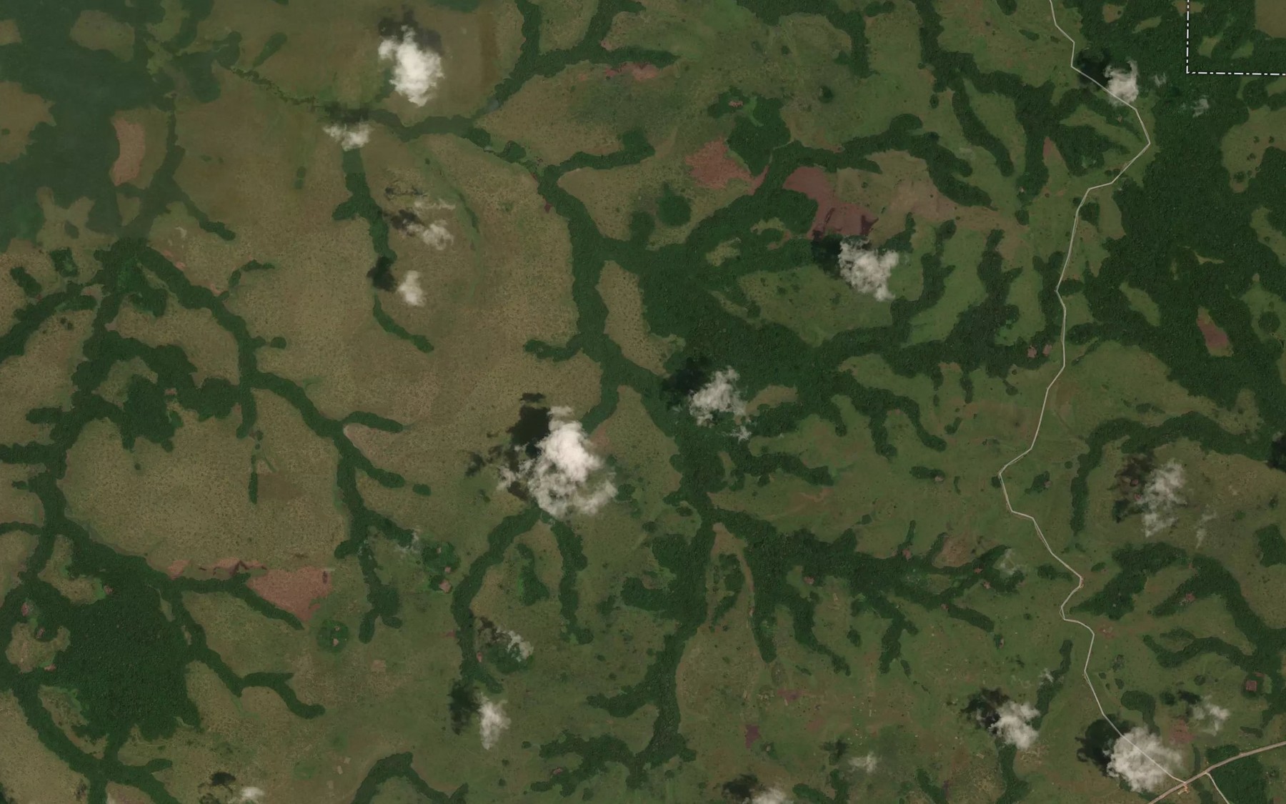 Satellite map of the Ngouani