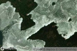 Insect Lake