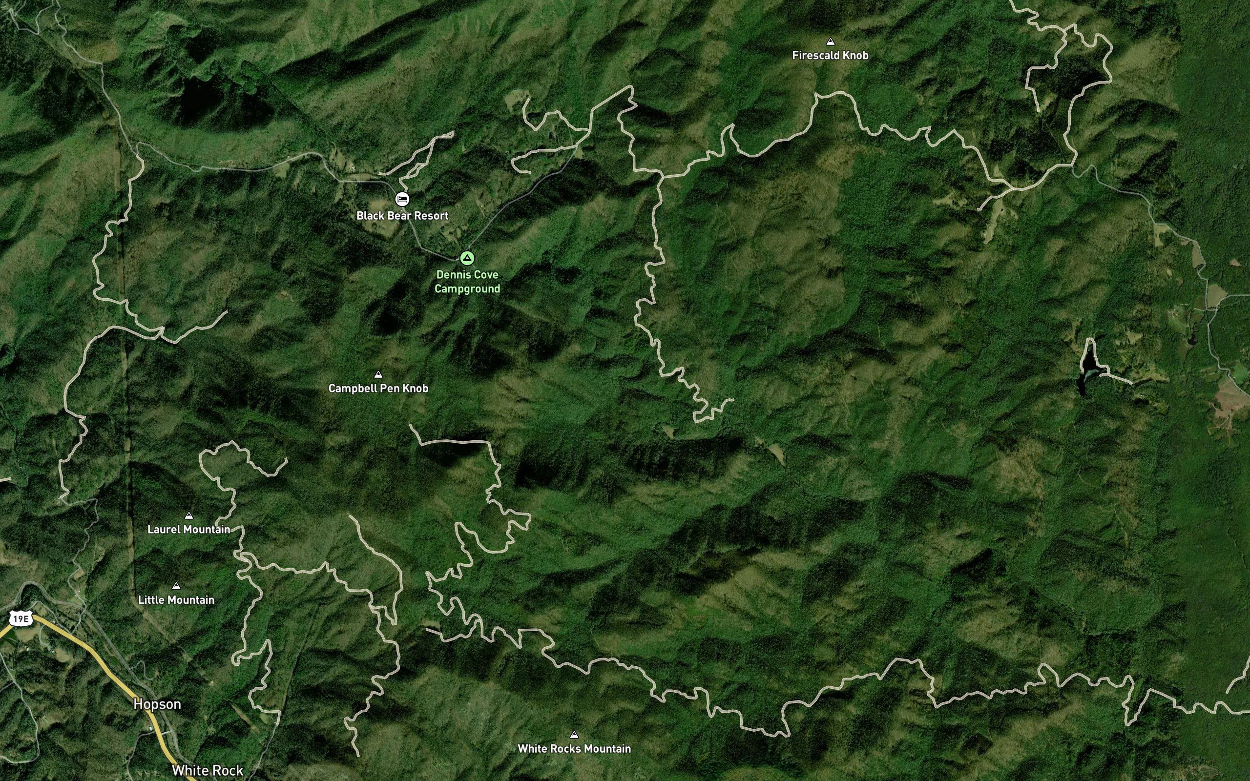 Lacy Trap Branch