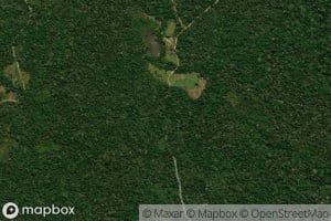 Igarape Sao Joao de Iracema