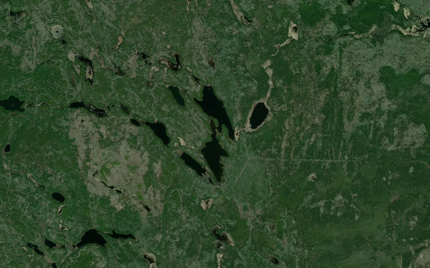 Satellite map of the Alwyn Lake