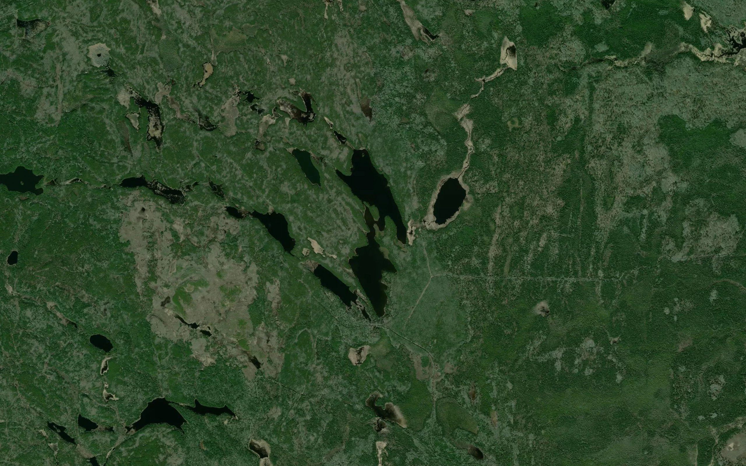 Alwyn Lake