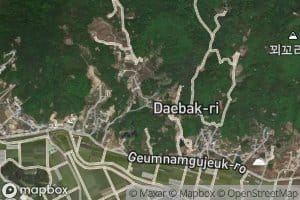 Wonch'onjong-yaksut'o