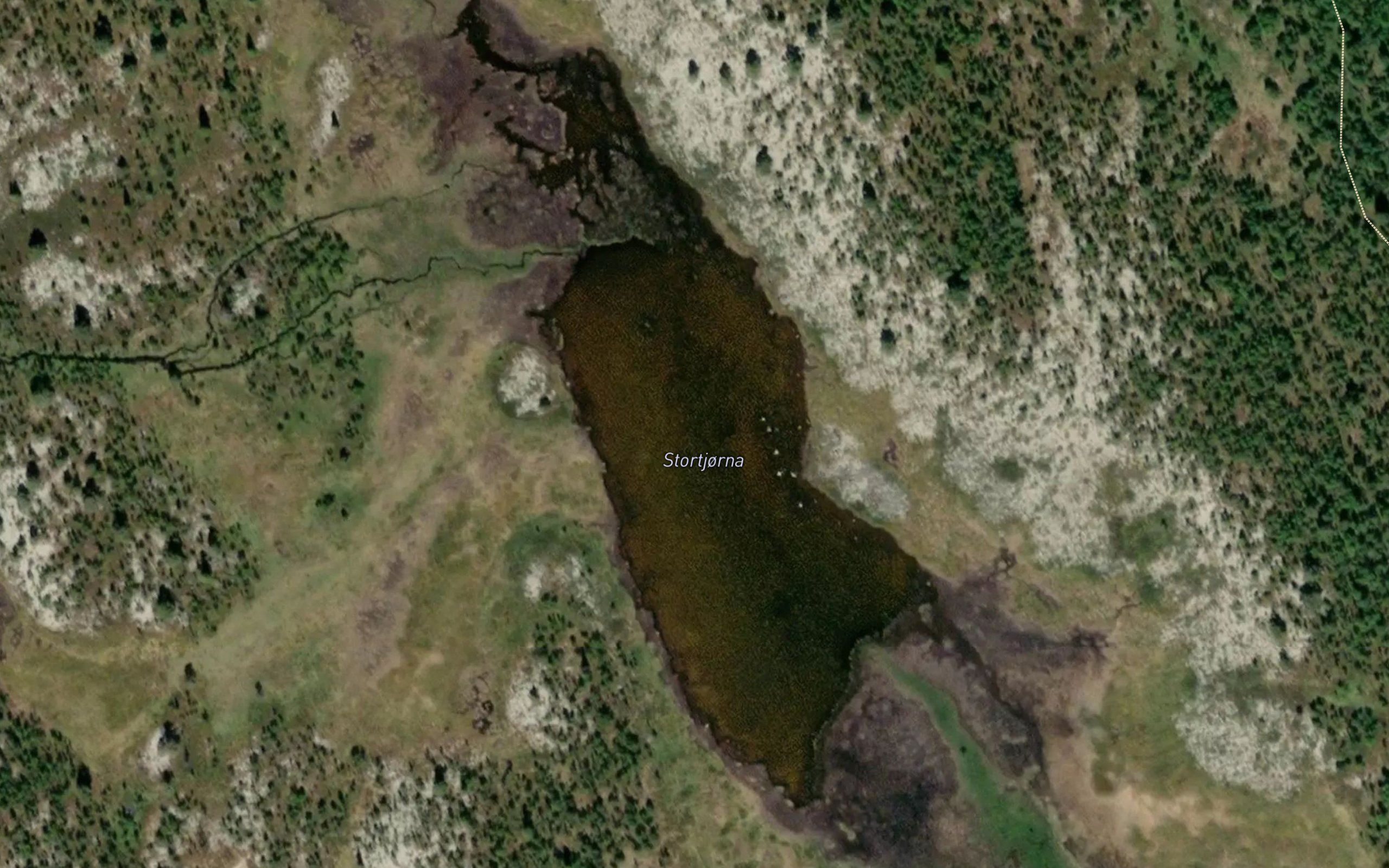 Stortjorna