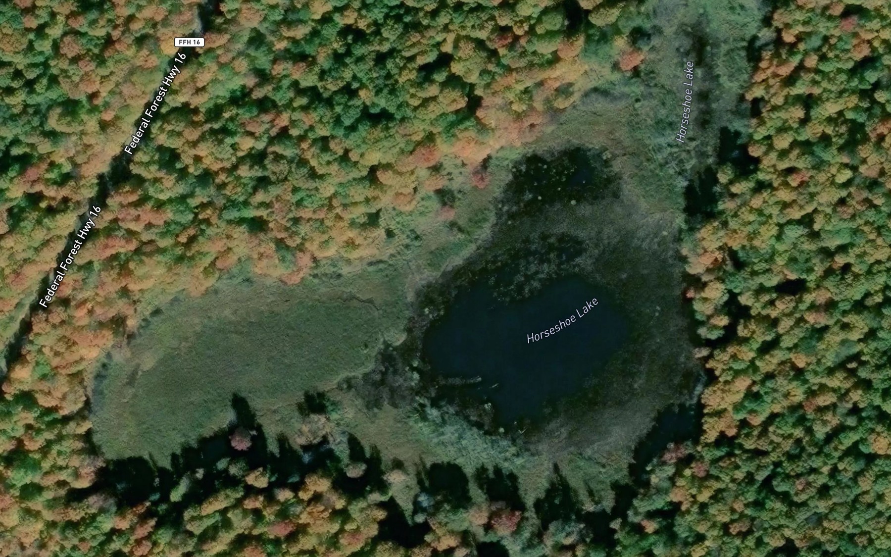 Satellite map of the Horseshoe Lake