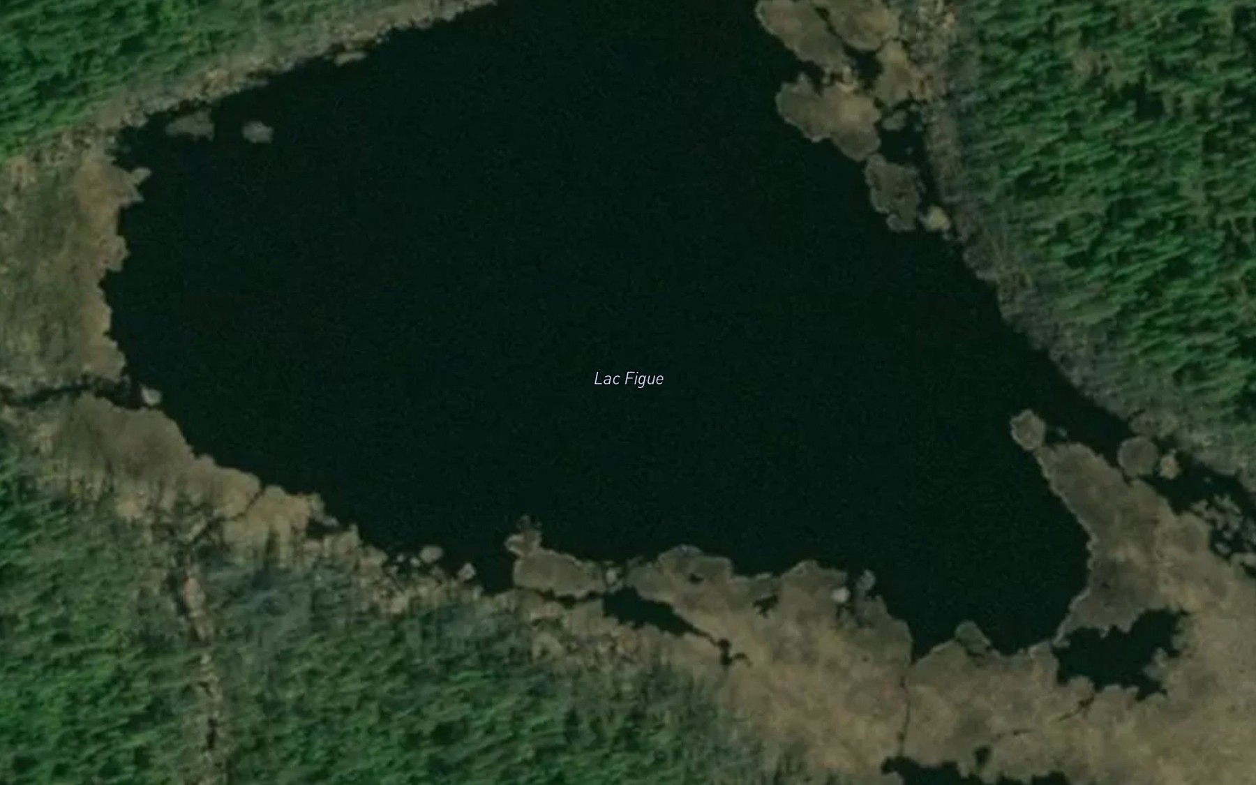 Satellite map of the Lac Figue
